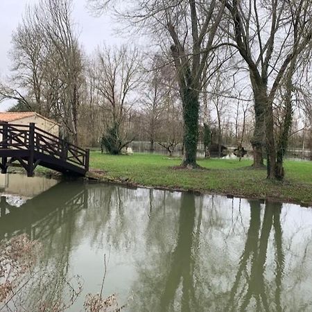 Maison Terrasse Proche Centre Ville Et Ile De Re La Rochelle  Zewnętrze zdjęcie
